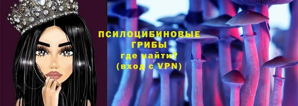 мет Белокуриха