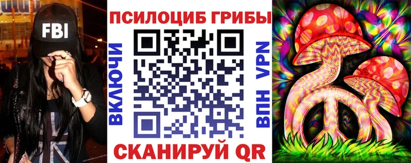 Купить закладки  Королёв  Галлюциногенные грибы прущие грибы 