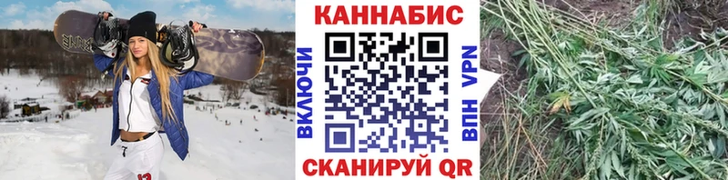 Купить закладки  Королёв  МАРИХУАНА индика 
